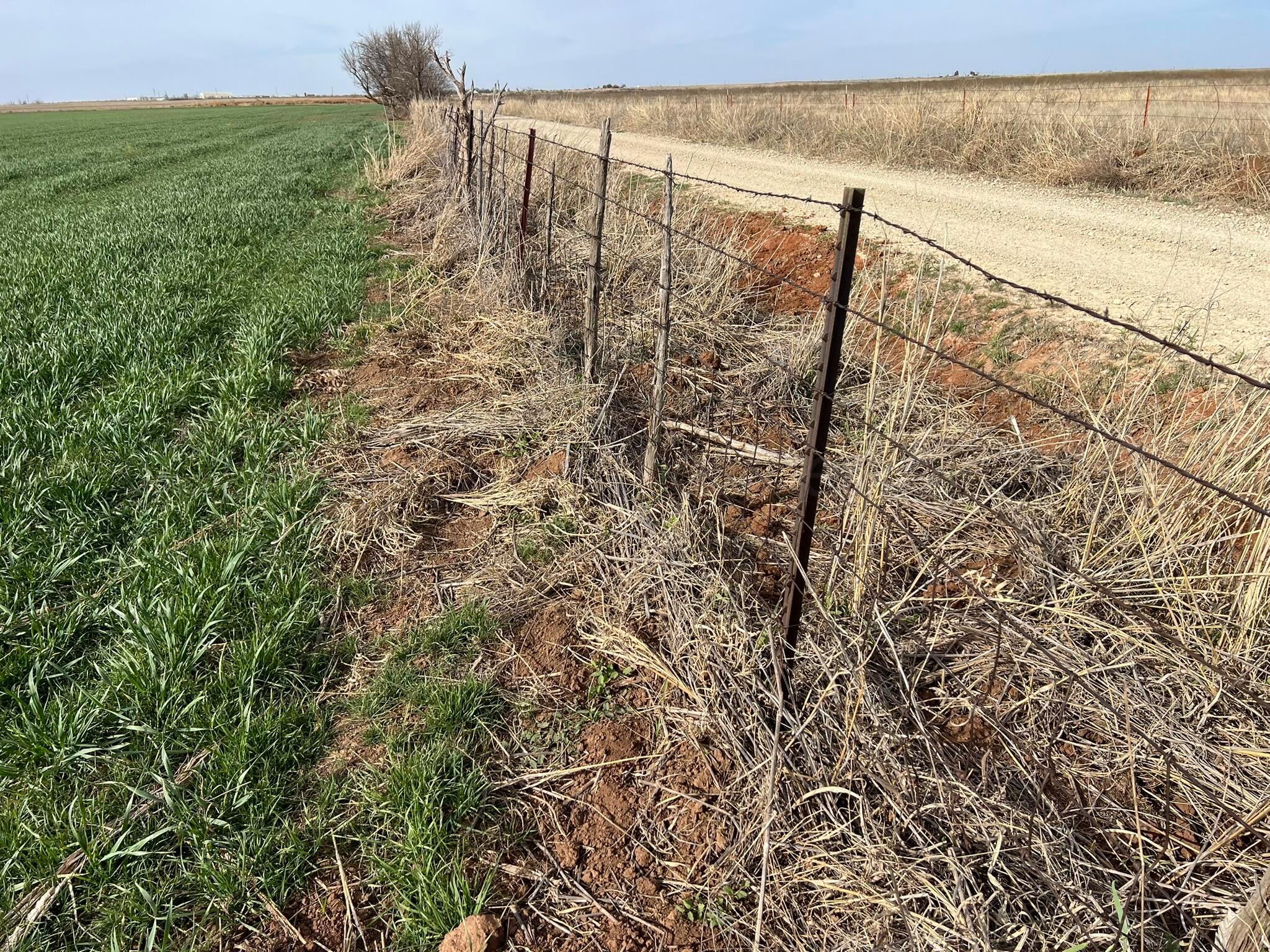 6 Tbd State Highway Crowell, TX 79227 - Photo 18 of 19 IMG_1520