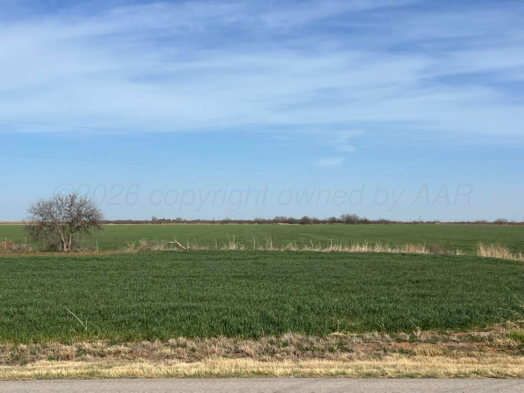 6 Tbd State Highway Crowell, TX 79227 - Photo 3 of 19 IMG_1502