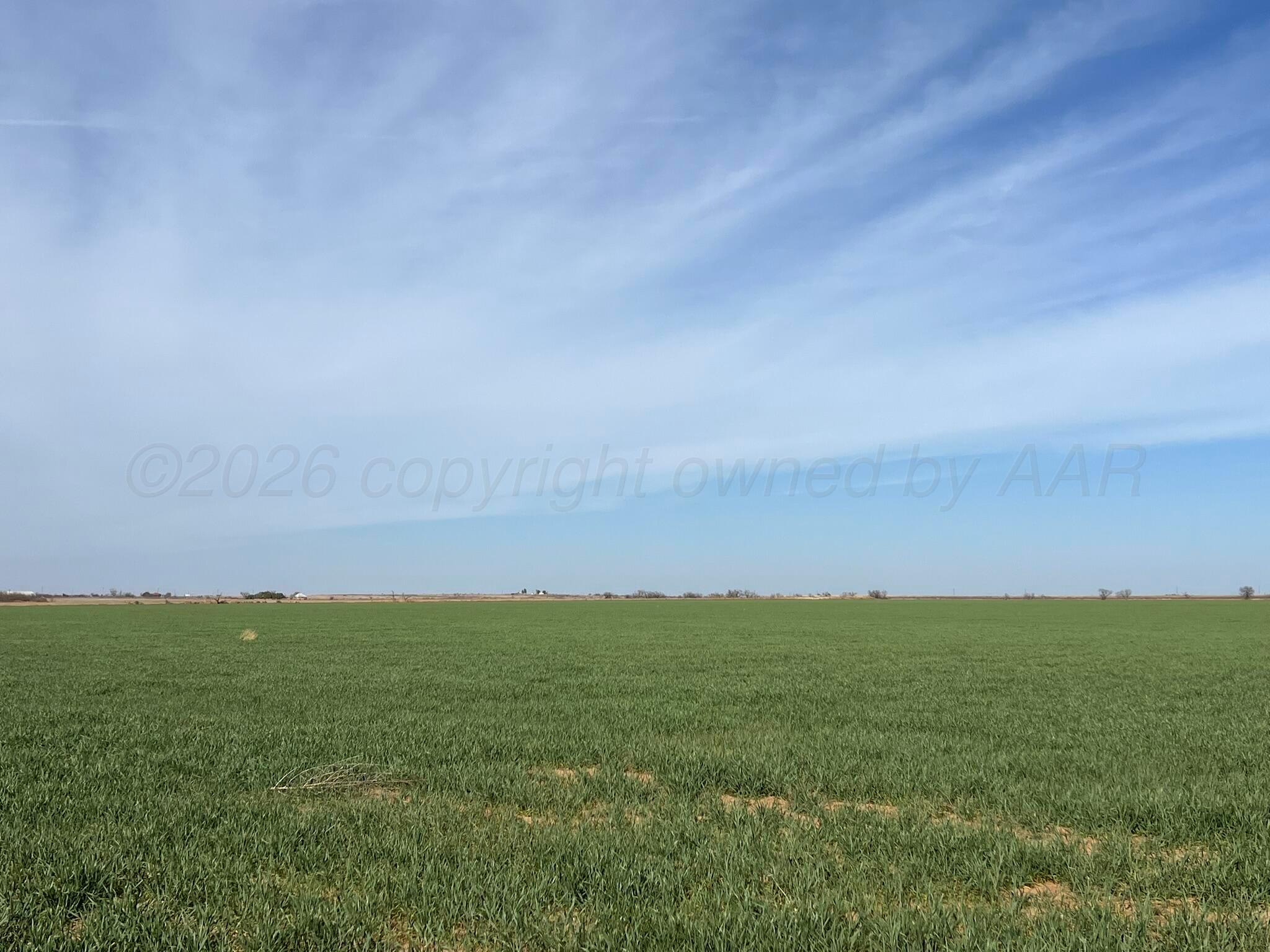 6 Tbd State Highway Crowell, TX 79227 - Photo 4 of 19 IMG_1503