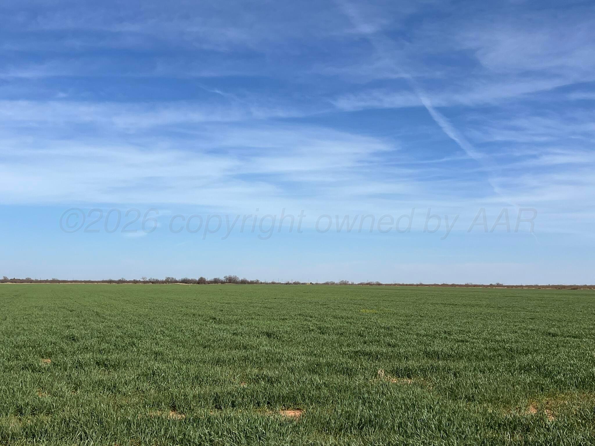 6 Tbd State Highway Crowell, TX 79227 - Photo 5 of 19 IMG_1504