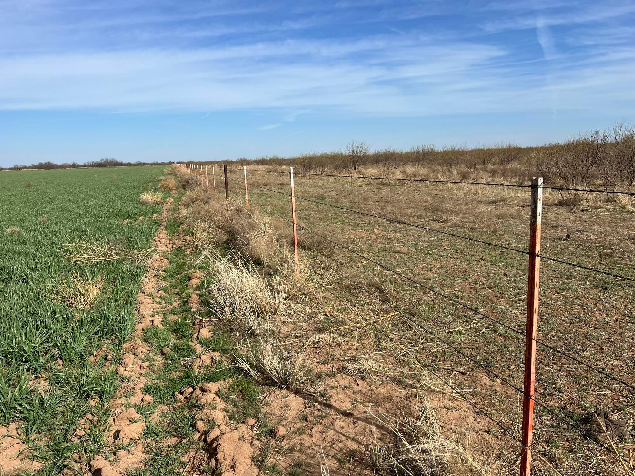 6 Tbd State Highway Crowell, TX 79227 - Photo 9 of 19 IMG_1509