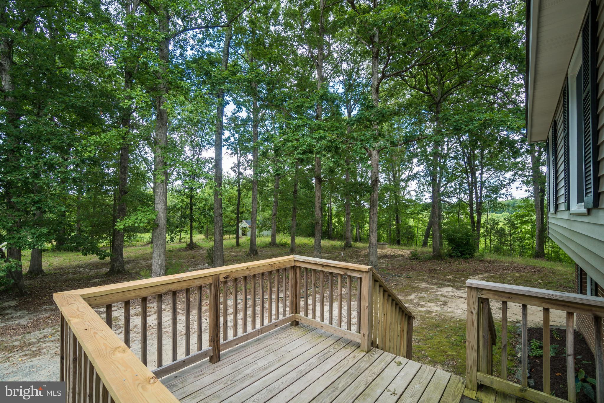 4616 Jericho Road Ruther Glen, VA 22546 - Photo 5 of 38 Deck view