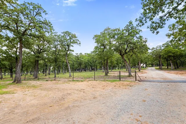 a backyard of apartments with large trees