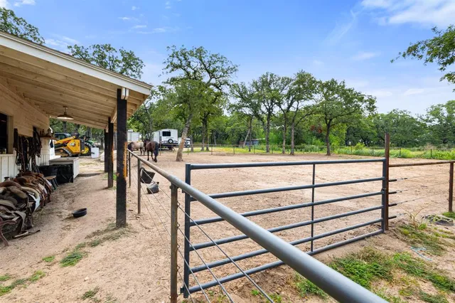 a view of a balcony with a floor to ceiling window and potted plants