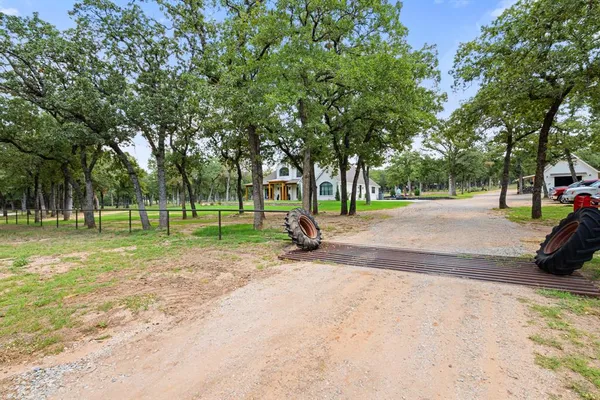 a view of a park with tree s