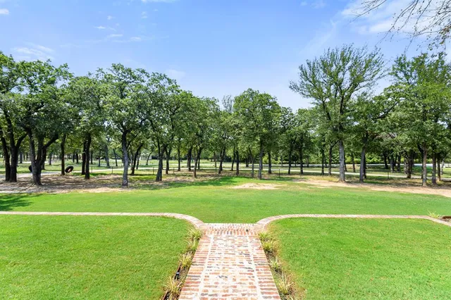 a view of a park with trees and grass