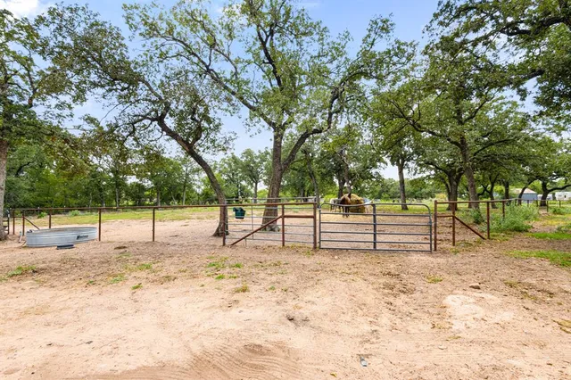 a view of park with large trees