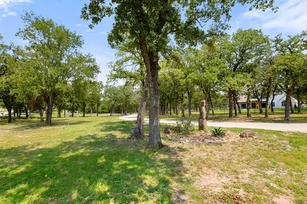a view of a yard with tree s