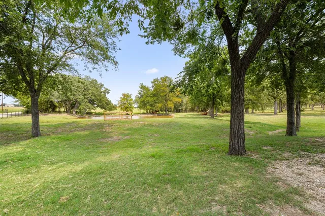a view of outdoor space with trees all around