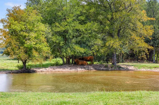 a view of a lake view