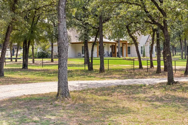 a view of a park with large trees