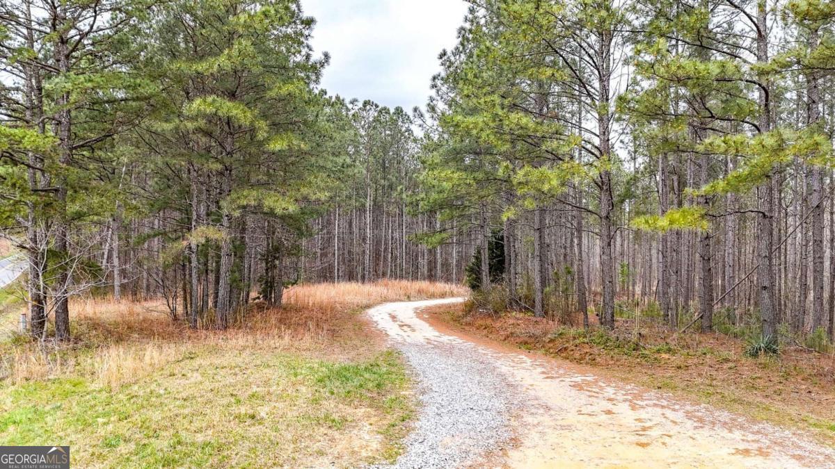 0 Felton Rockmart Road Buchanan, GA 30113 - Photo 47 of 47
