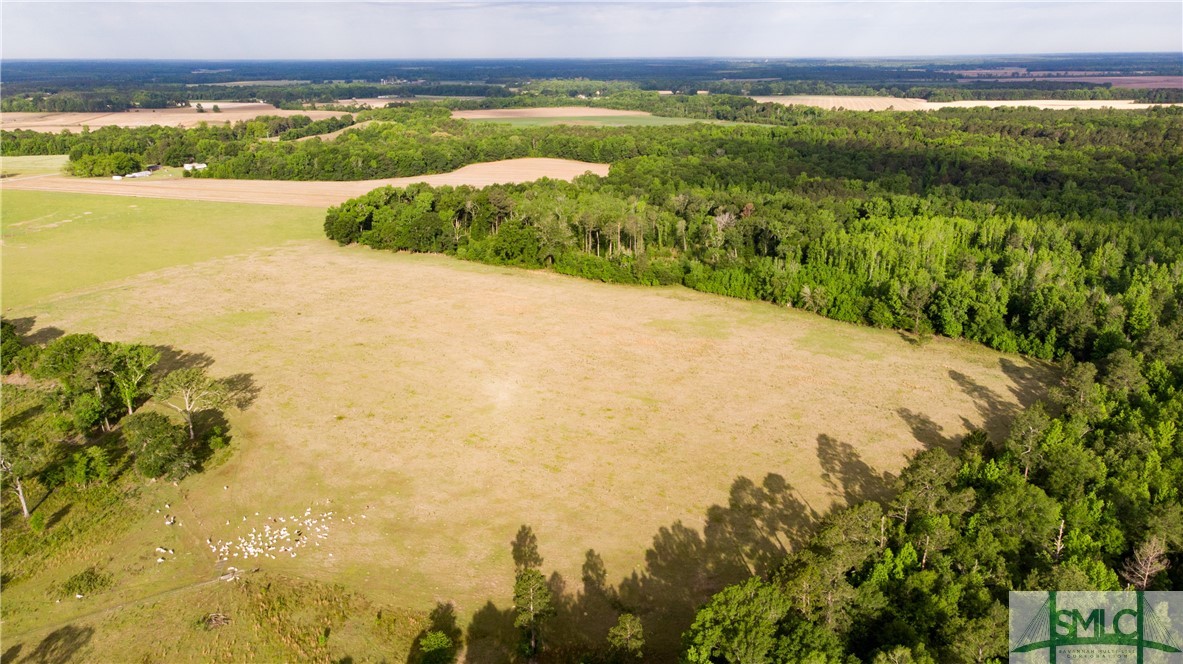 0 Scott Store Road McRae-Helena, GA 31037 - Photo 11 of 31 Gallery Image 11