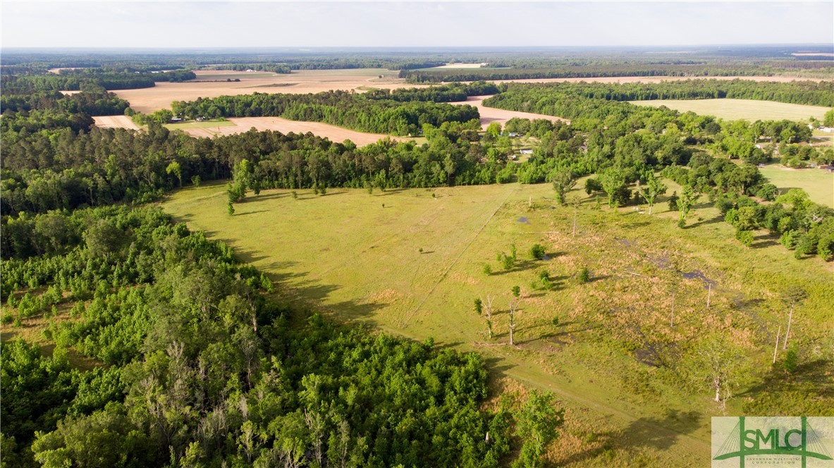 0 Scott Store Road McRae-Helena, GA 31037 - Photo 12 of 31 Gallery Image 12