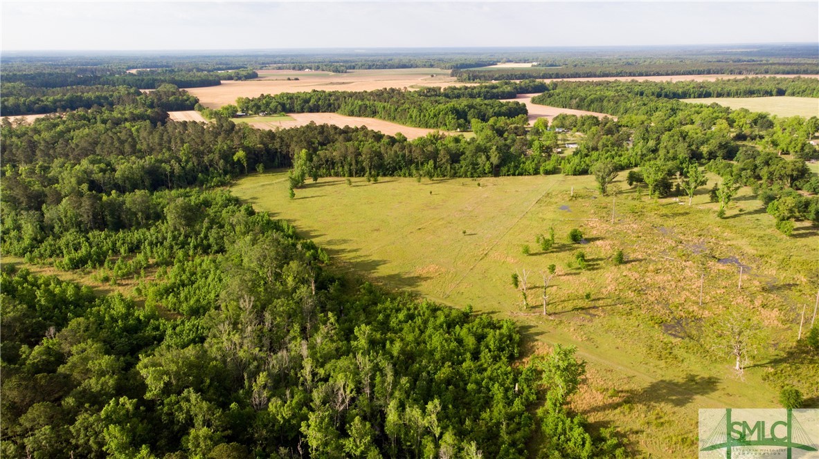 0 Scott Store Road McRae-Helena, GA 31037 - Photo 14 of 31 Gallery Image 14