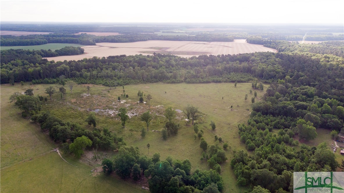 0 Scott Store Road McRae-Helena, GA 31037 - Photo 15 of 31 Gallery Image 15