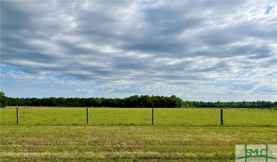 0 Scott Store Road McRae-Helena, GA 31037 - Photo 16 of 31 Gallery Image 16