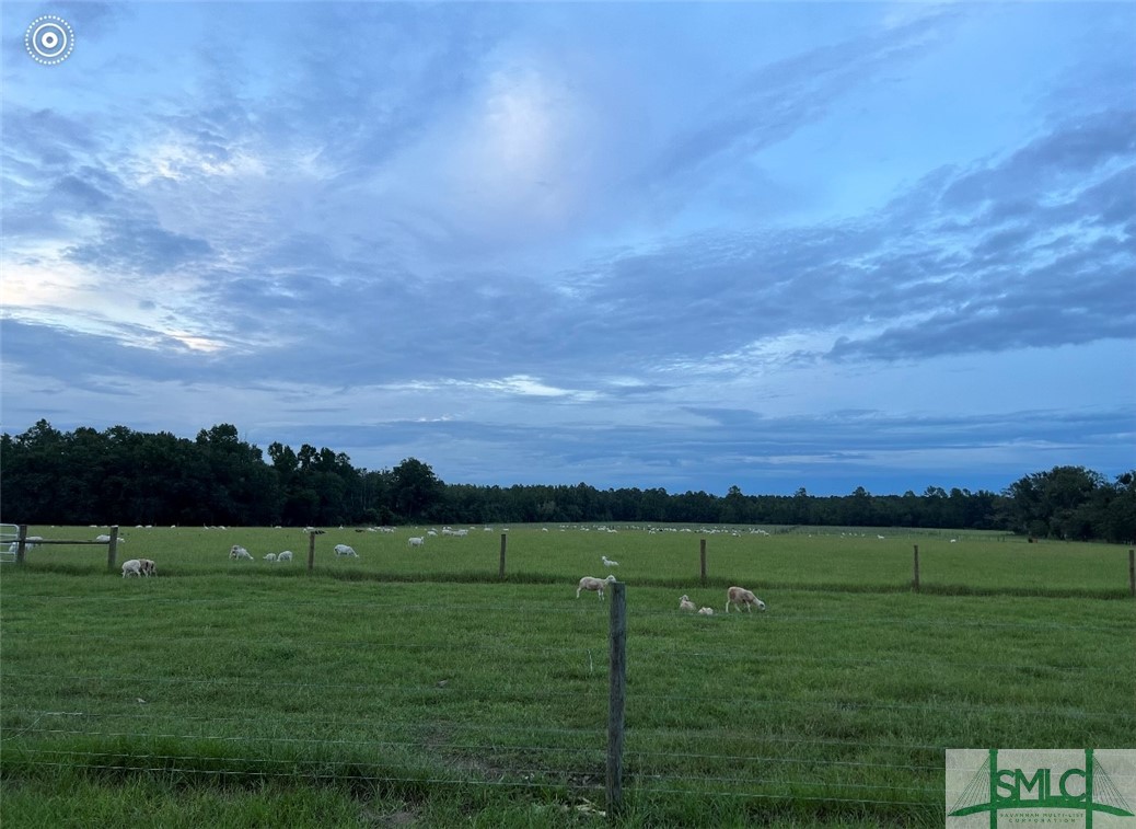 0 Scott Store Road McRae-Helena, GA 31037 - Photo 17 of 31 Gallery Image 17