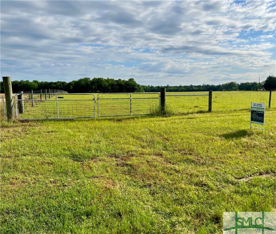0 Scott Store Road McRae-Helena, GA 31037 - Photo 2 of 31 Gallery Image 2