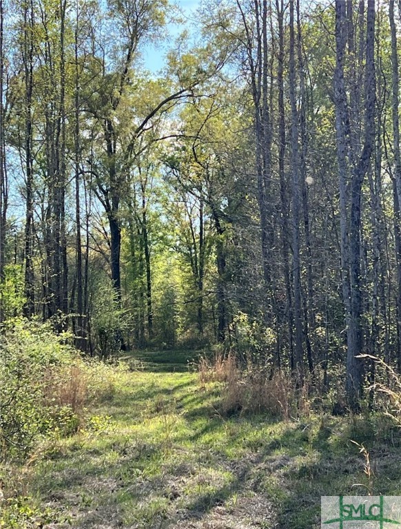 0 Scott Store Road McRae-Helena, GA 31037 - Photo 31 of 31 Gallery Image 31