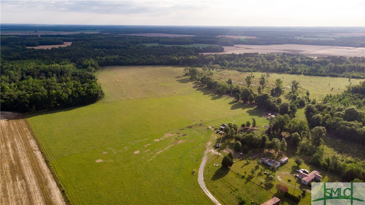0 Scott Store Road McRae-Helena, GA 31037 - Photo 4 of 31 Gallery Image 4