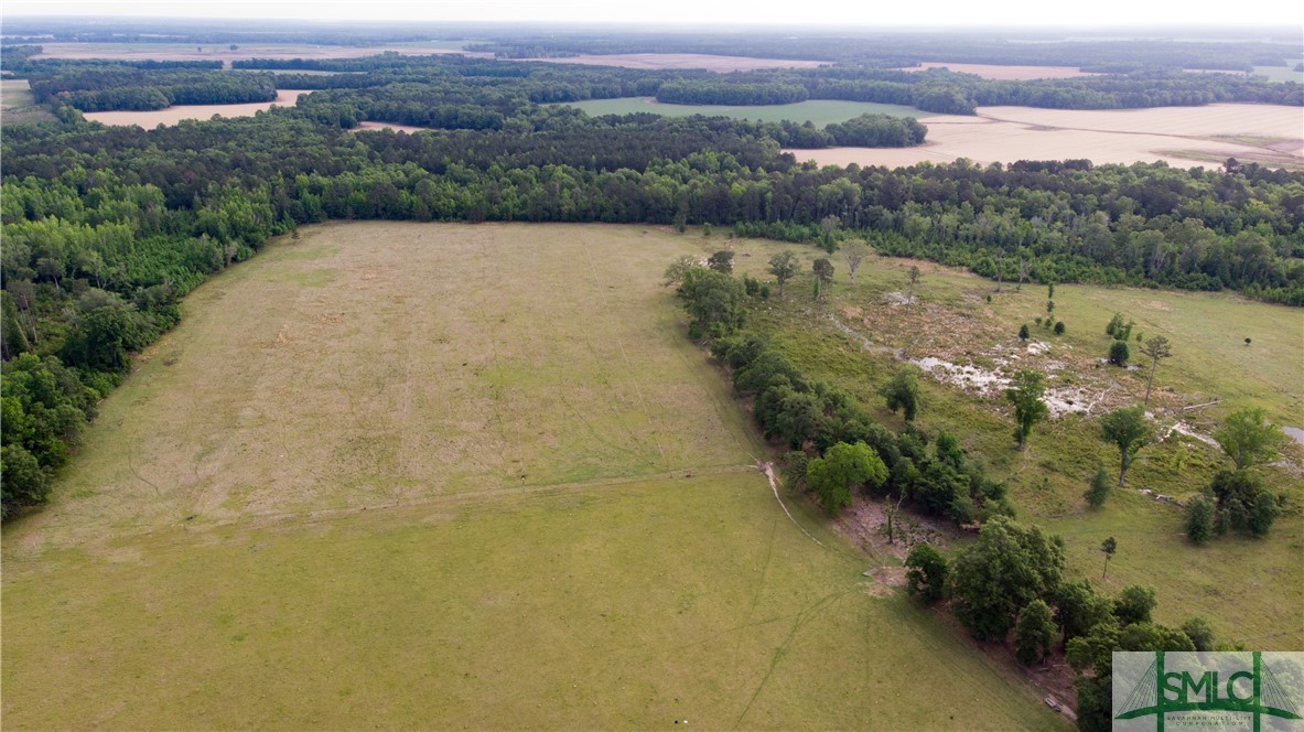 0 Scott Store Road McRae-Helena, GA 31037 - Photo 5 of 31 Gallery Image 5