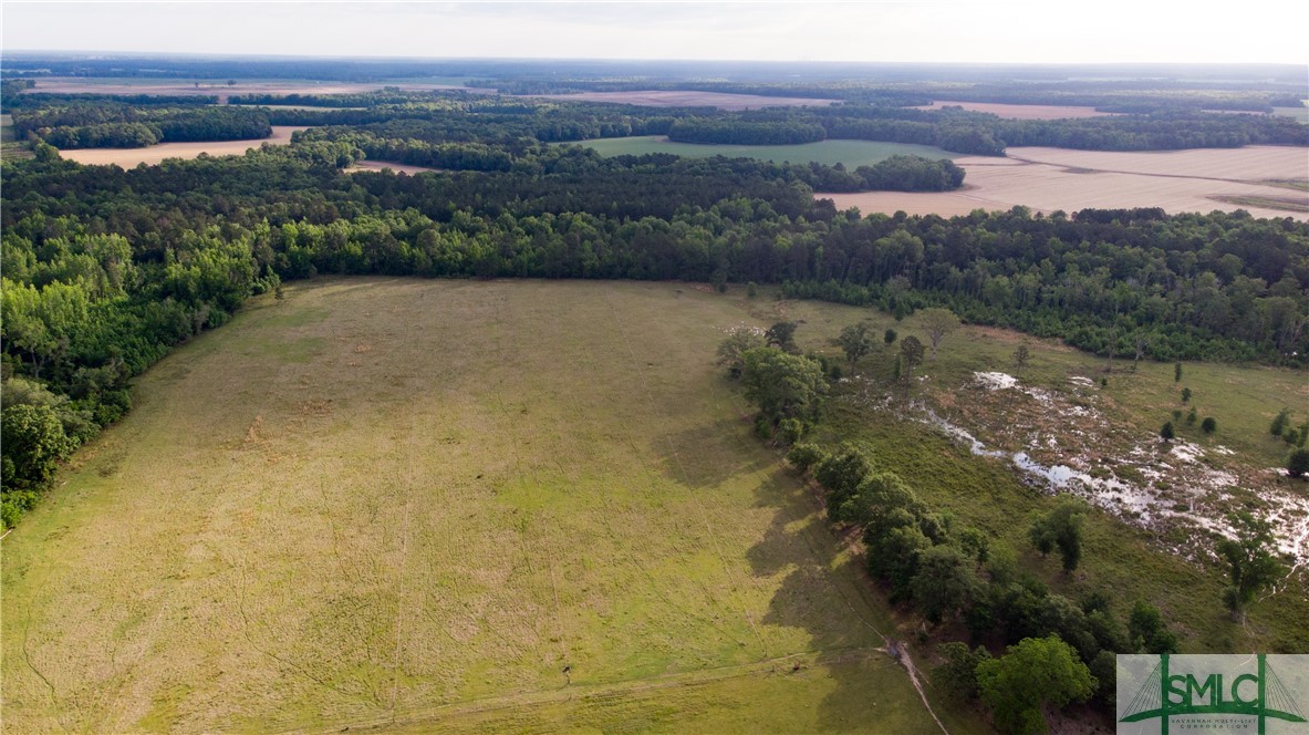 0 Scott Store Road McRae-Helena, GA 31037 - Photo 6 of 31 Gallery Image 6