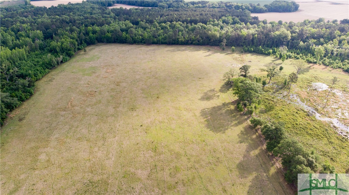 0 Scott Store Road McRae-Helena, GA 31037 - Photo 7 of 31 Gallery Image 7