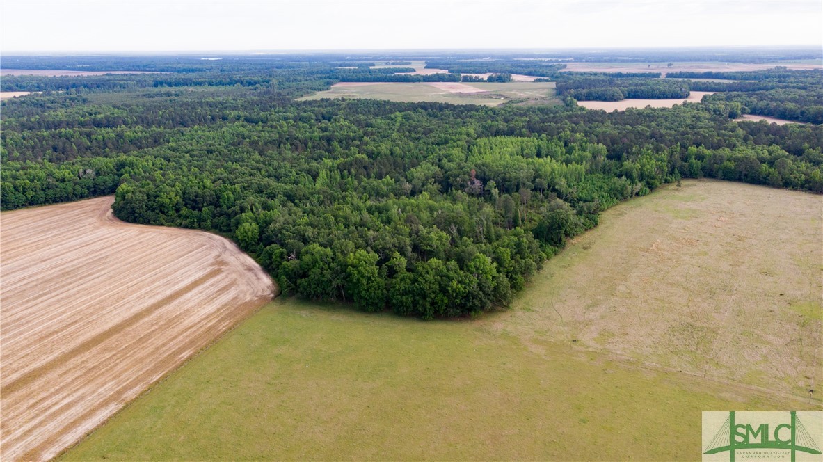 0 Scott Store Road McRae-Helena, GA 31037 - Photo 8 of 31 Gallery Image 8