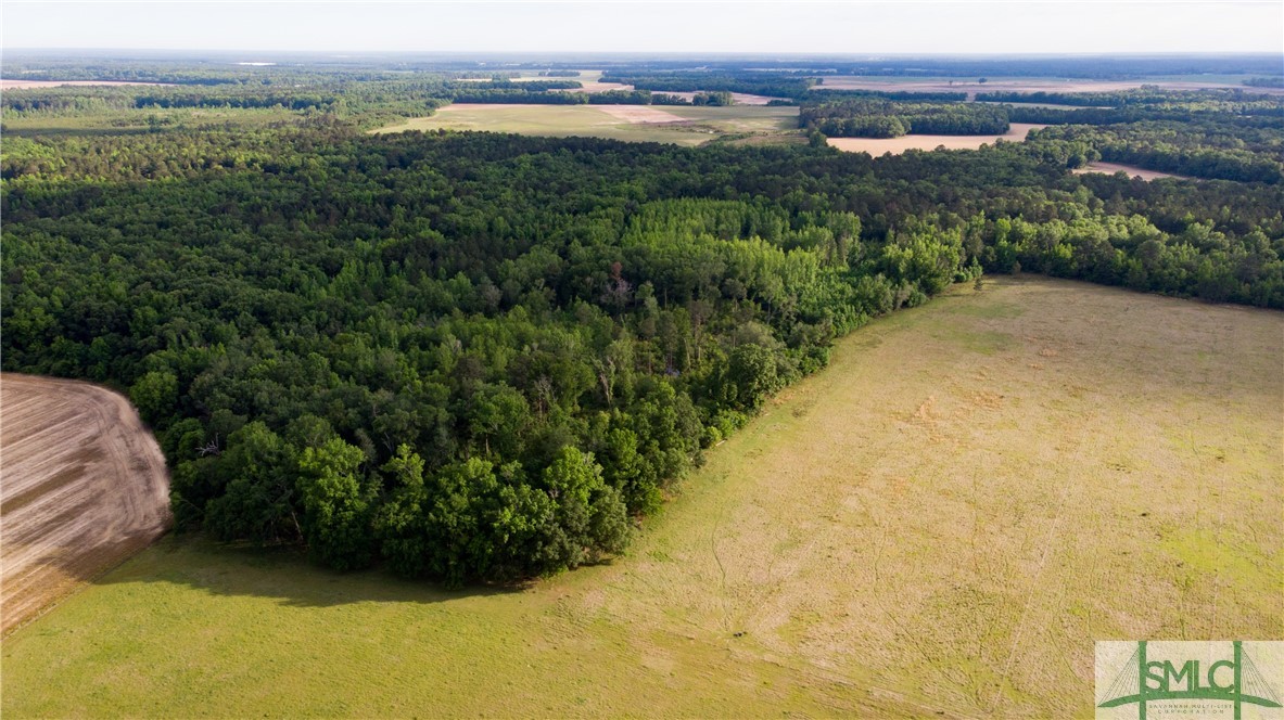 0 Scott Store Road McRae-Helena, GA 31037 - Photo 9 of 31 Gallery Image 9