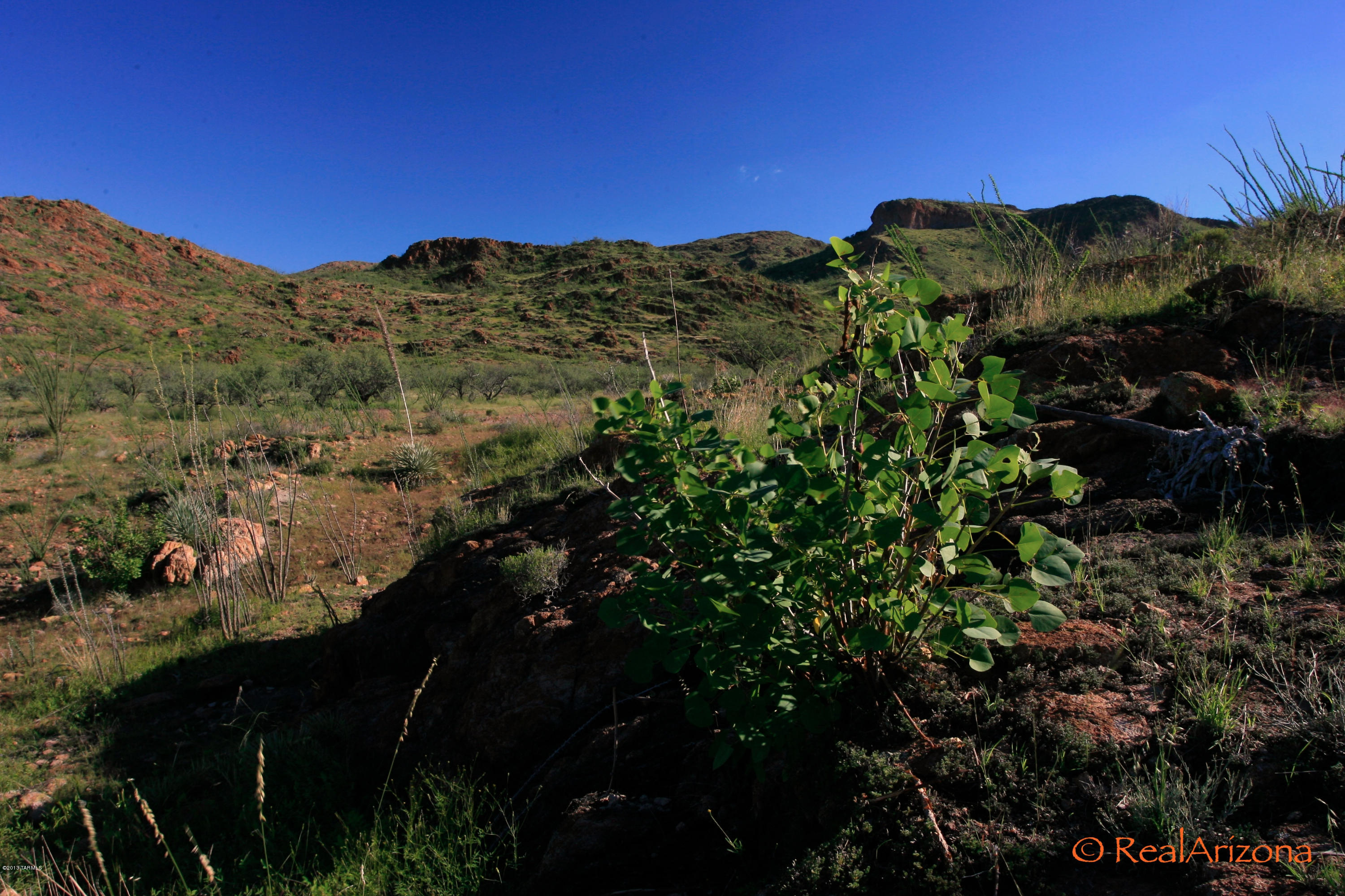 258 Grosvenor Road Rio Rico, AZ 85648 - Photo 8 of 20 Gallery Image 8
