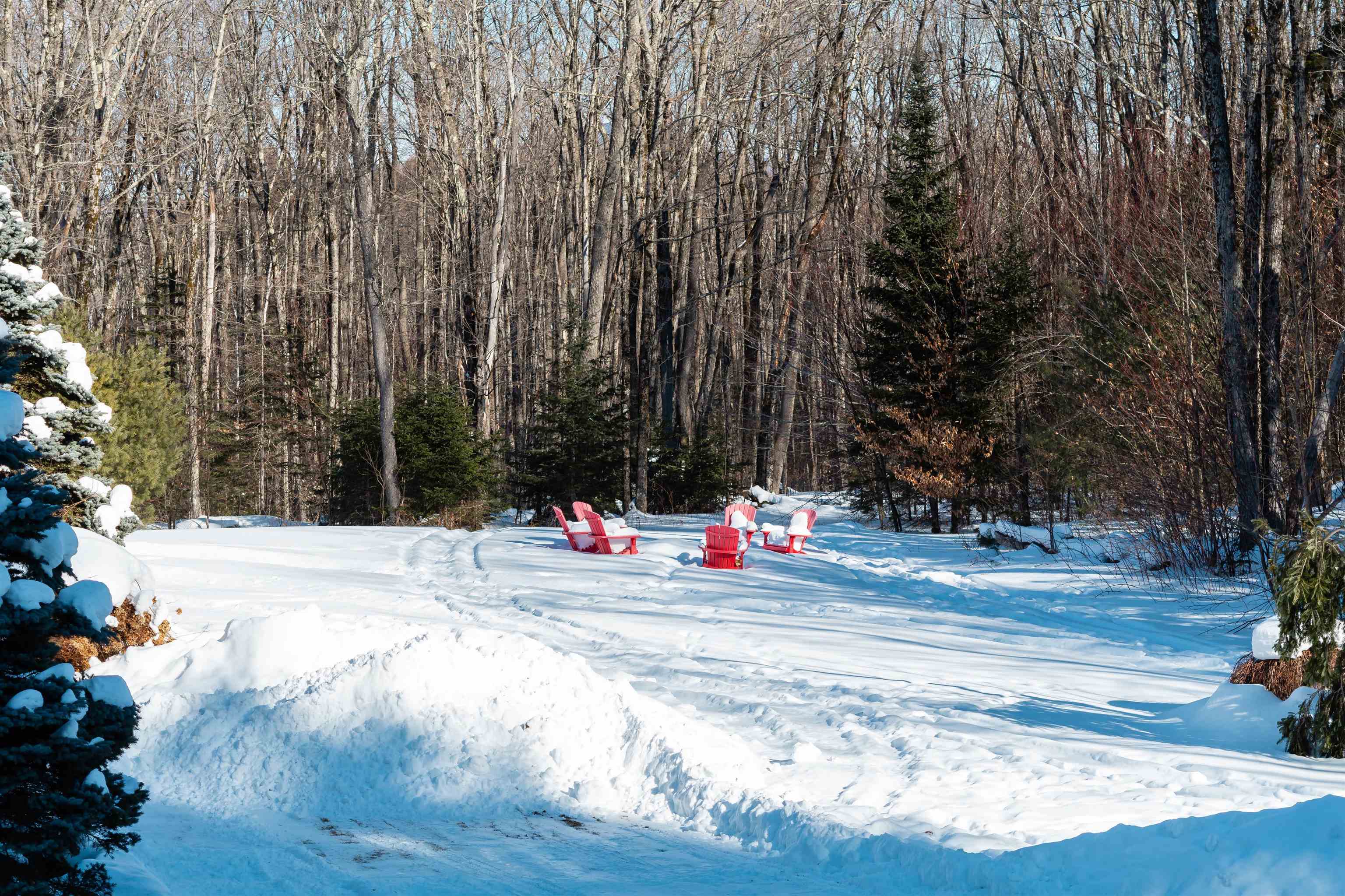 221 Teer Road Mount Holly, VT 05730 - Photo 52 of 55