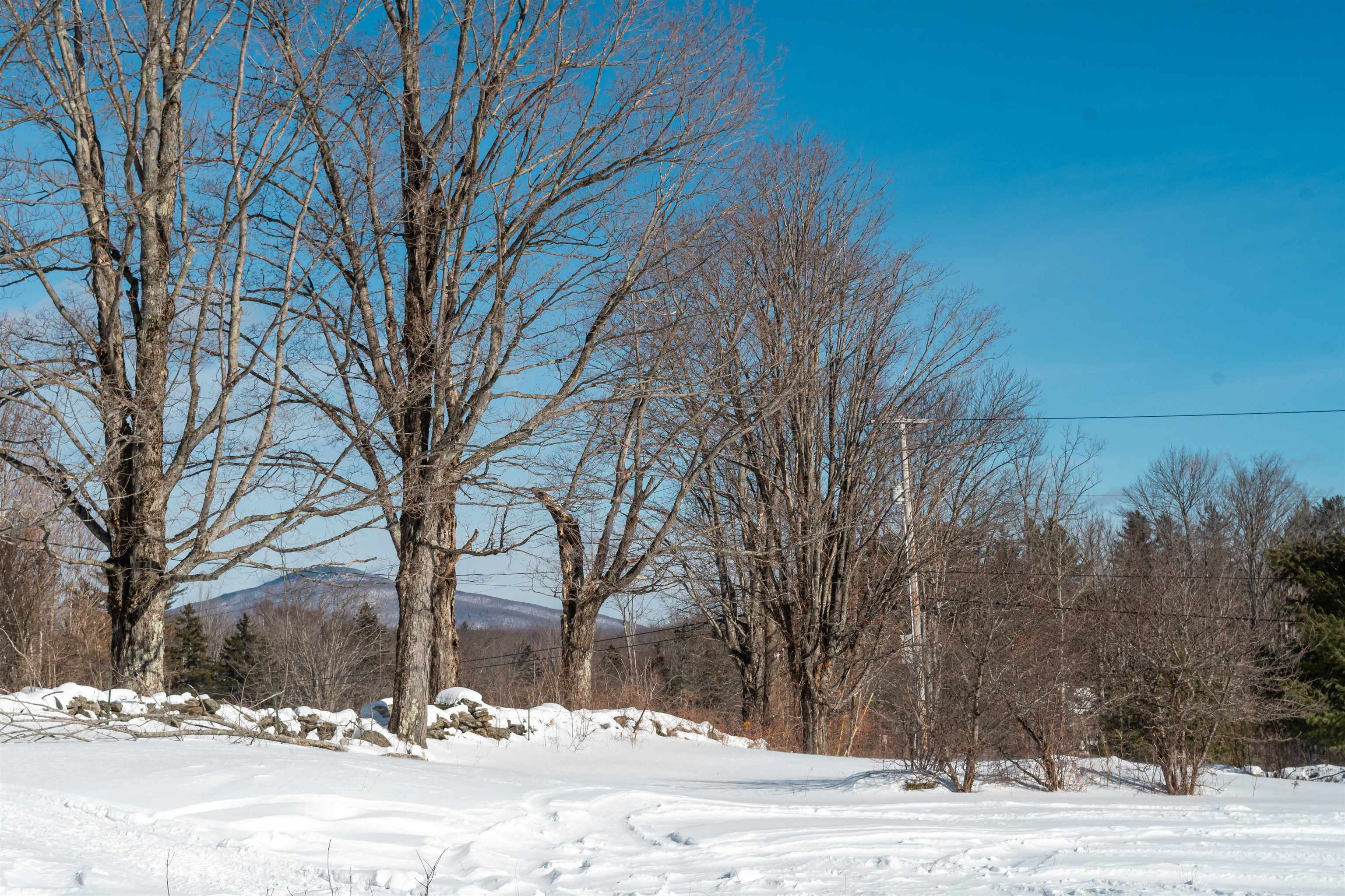 221 Teer Road Mount Holly, VT 05730 - Photo 53 of 55