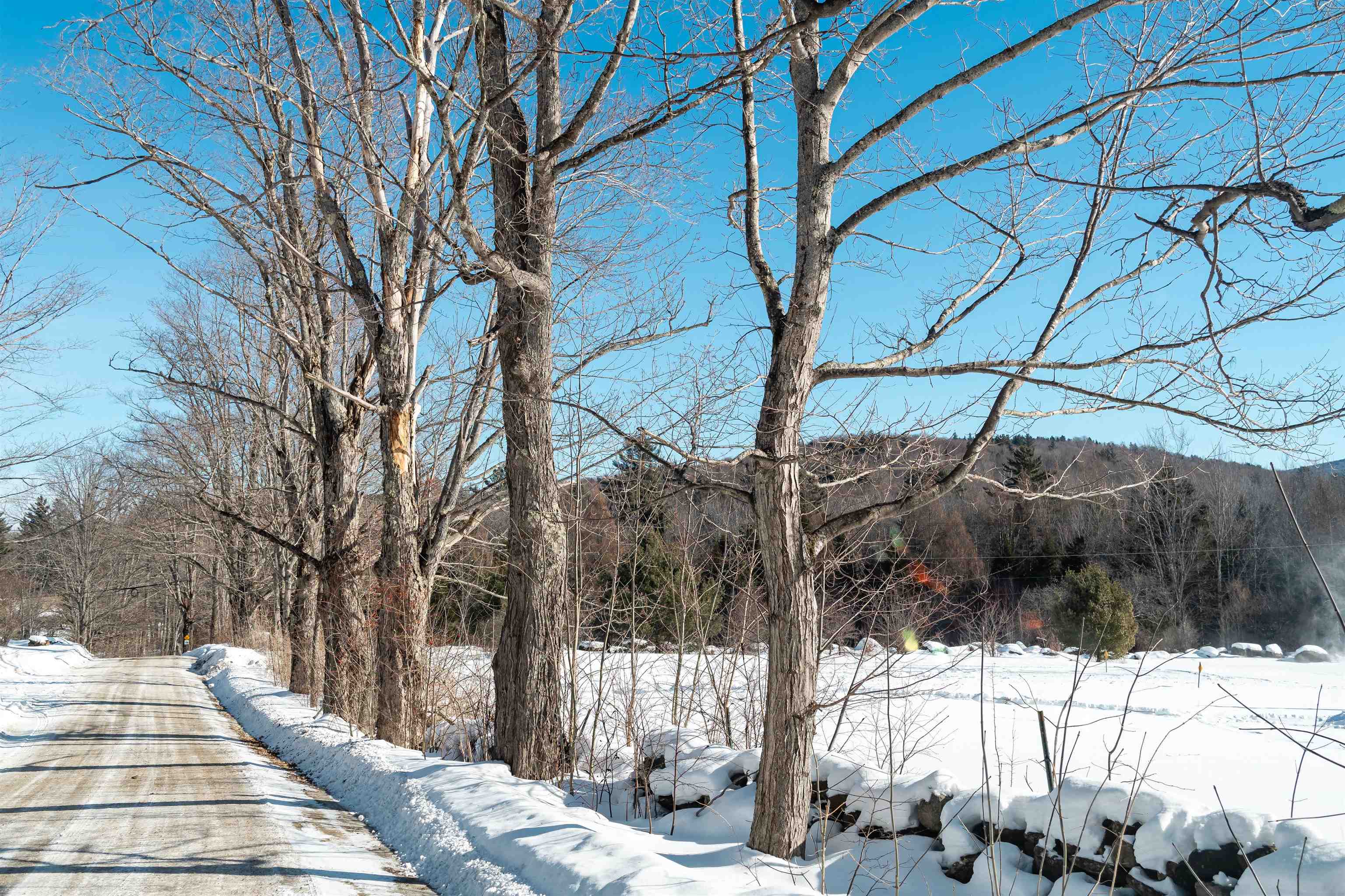 221 Teer Road Mount Holly, VT 05730 - Photo 55 of 55