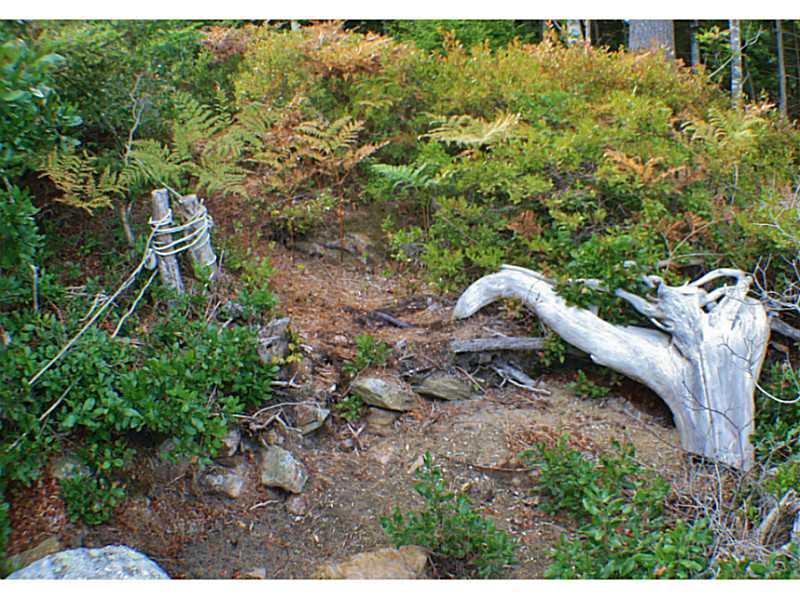 73 East Cundys Point Harpswell, ME 04079 - Photo 35 of 35 Waterfront/Dock/Pier. Path to the...