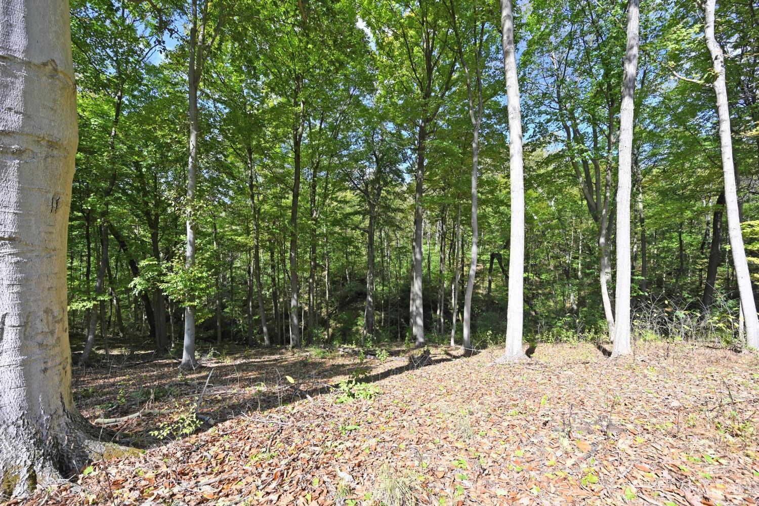 3301 Mt Carmel Road Cincinnati, OH 45244 - Photo 24 of 30