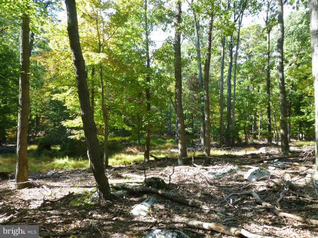 8662 Indian Springs Road Frederick, MD 21702 - Photo 26 of 30 Private Wooded Backdrop