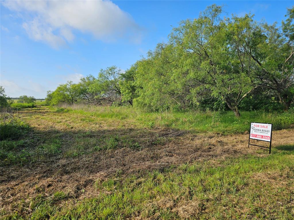 Tbd Lot 6 Block 1 Covington, TX 76636 - Photo 3 of 3 a view of a field with trees in the background