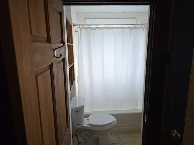 a bathroom with a shower and a toilet