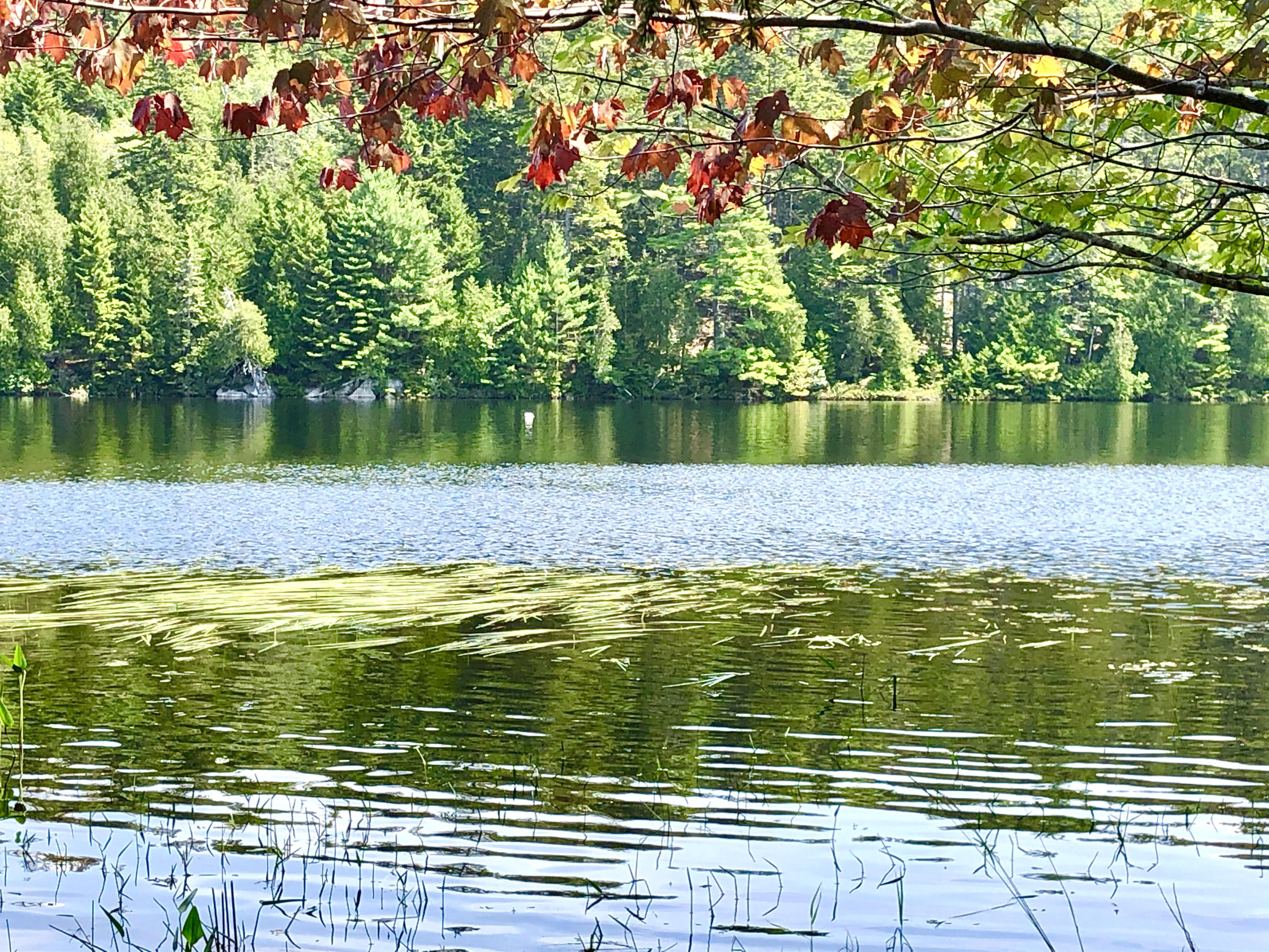 58 Daddy Johnny Road Tremont, ME 04674 - Photo 1 of 52 Hodgdon Pond frontage