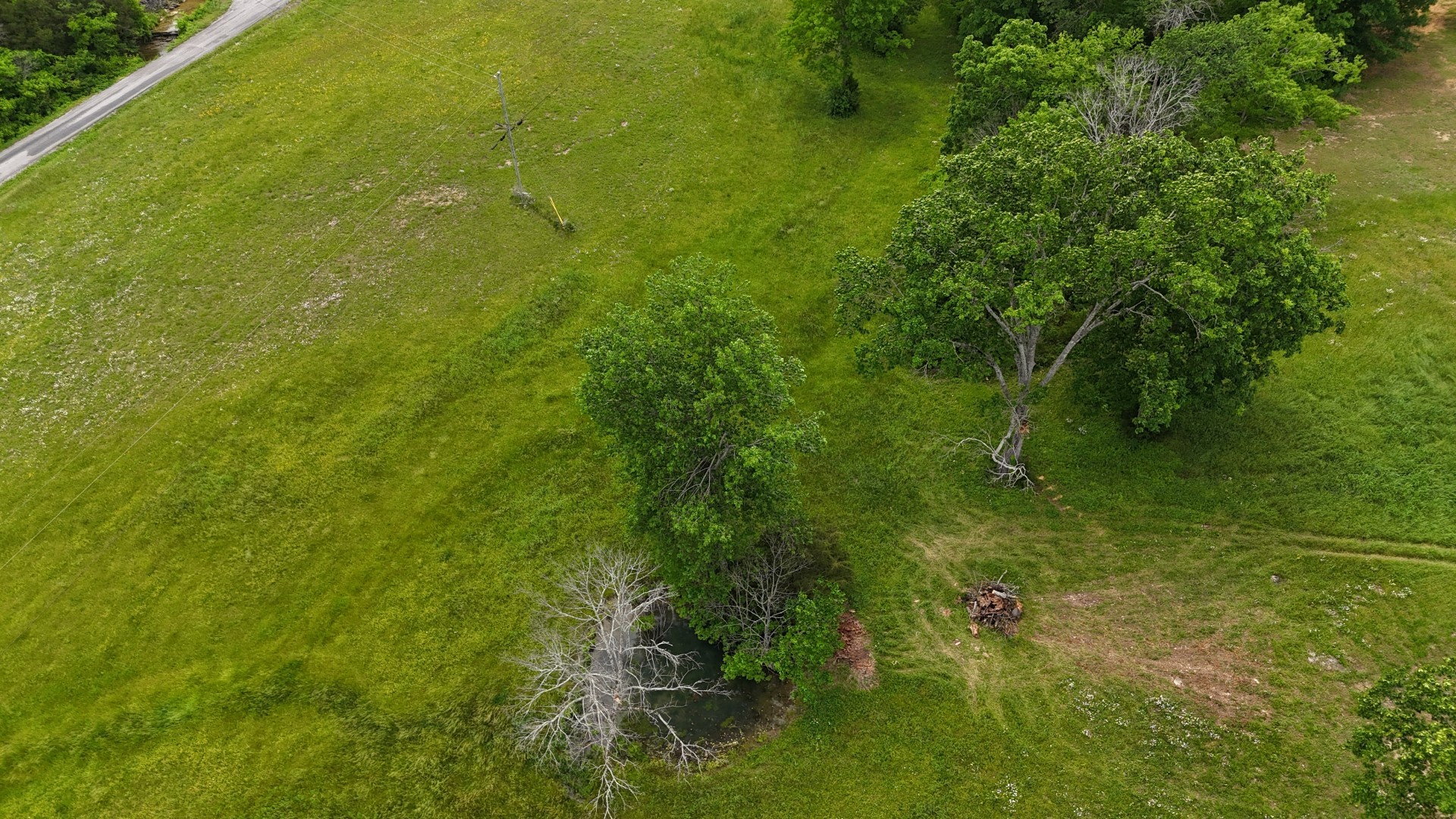 1157 Knox Road Readyville, TN 37149 - Photo 13 of 100 a view of a big yard with large trees