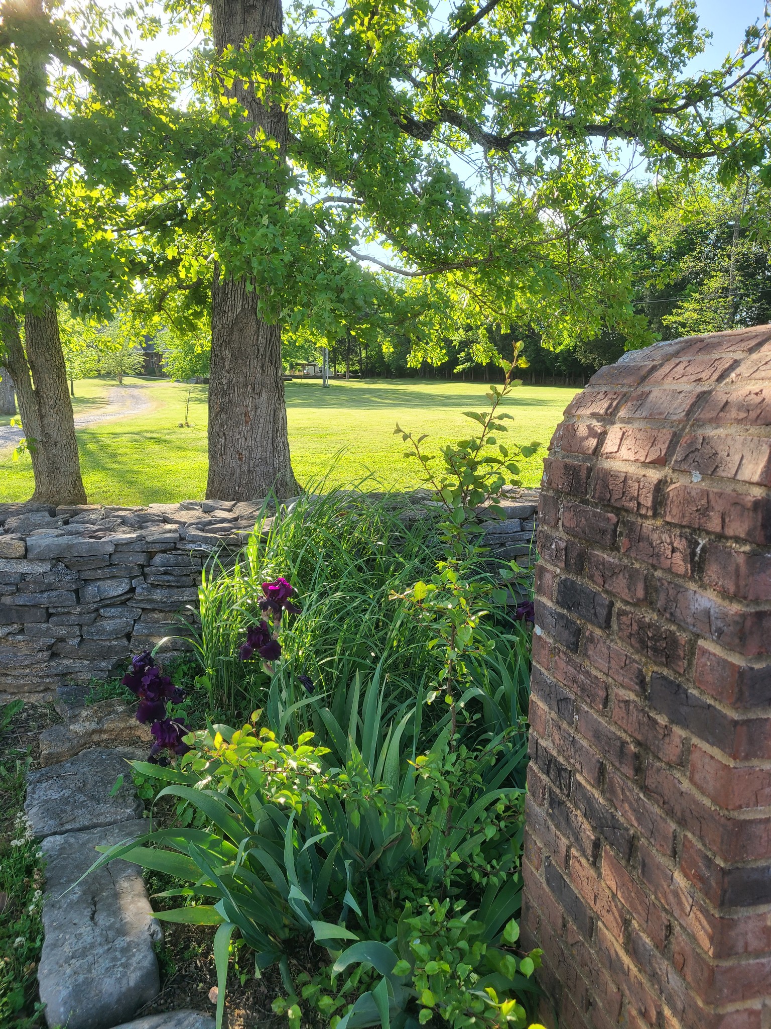 1157 Knox Road Readyville, TN 37149 - Photo 35 of 100 a view of a yard with an tree