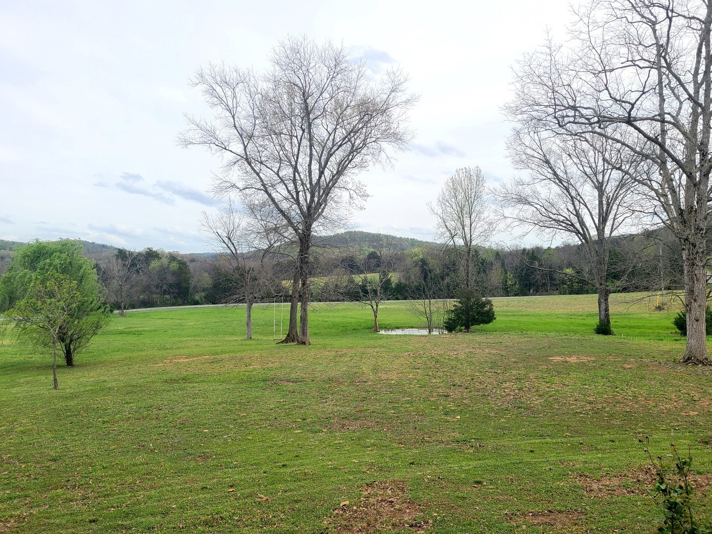 1157 Knox Road Readyville, TN 37149 - Photo 51 of 100 a view of a park with large trees