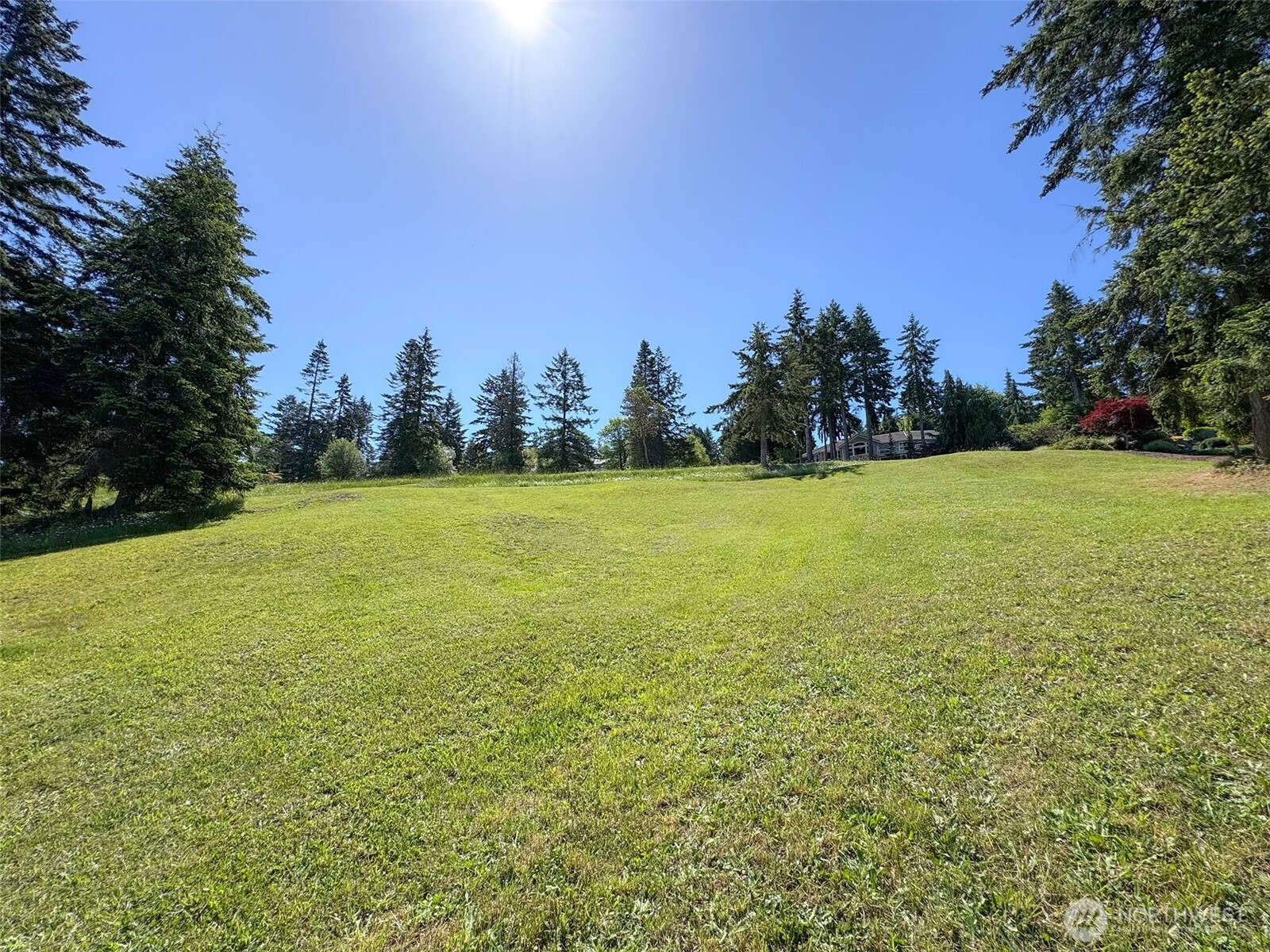 1 Owls Nest Road Sequim, WA 98382 - Photo 25 of 31 a view of a field with trees in the background