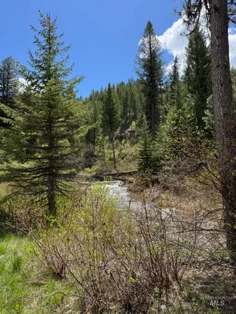 $6,500,000 | 11 Golden Age Mine Road, Idaho City, ID 83631