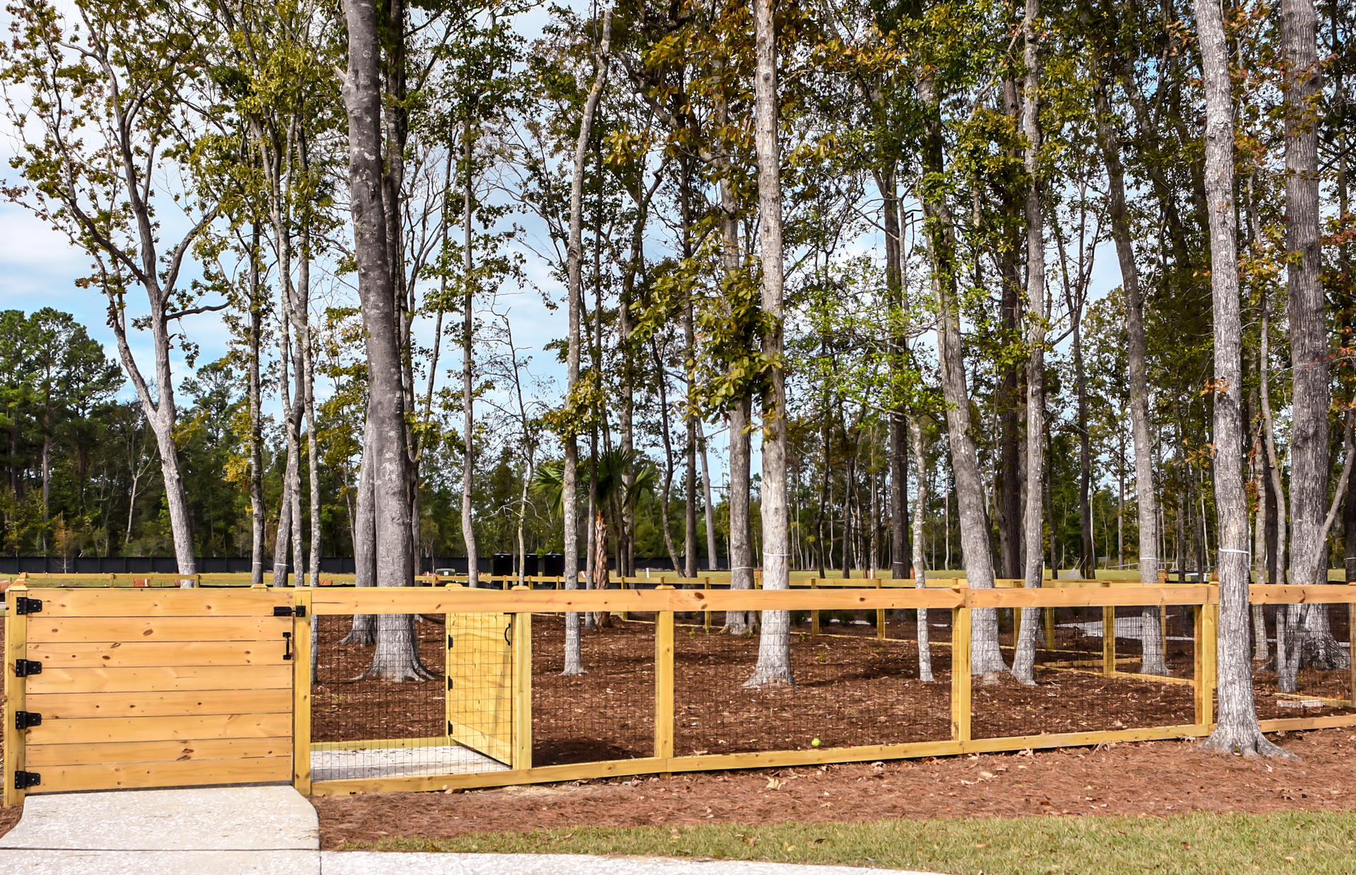 3083 Sturbridge Road Mount Pleasant, SC 29466 - Photo 22 of 23 Dog Park