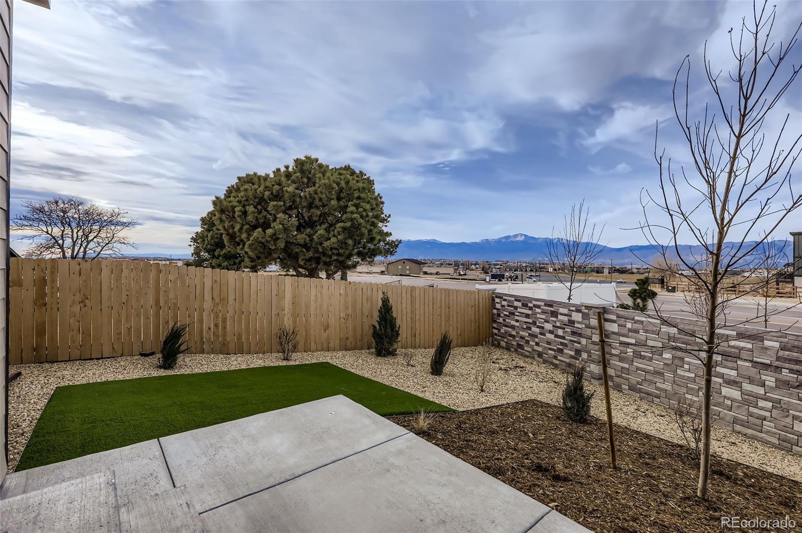 6602 Cornelius Point Colorado Springs, CO 80923 - Photo 11 of 13