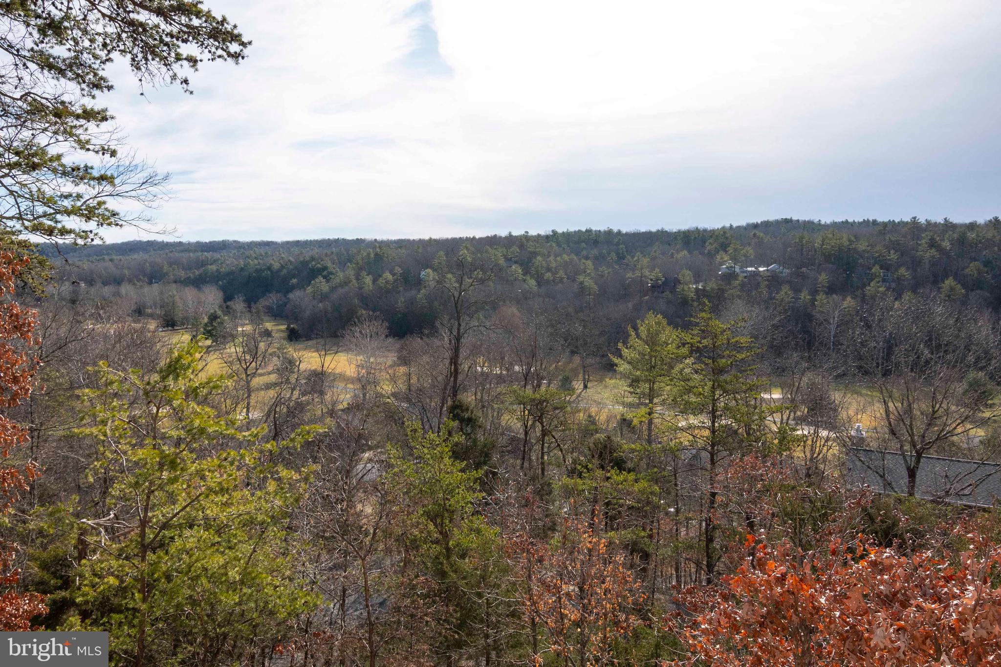 1232 Lee Road Basye, VA 22810 - Photo 29 of 81 Gallery Image 29