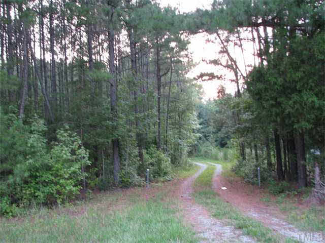5601 Guess Road Durham, NC 27712 - Photo 3 of 6 a view of a forest with trees in the background