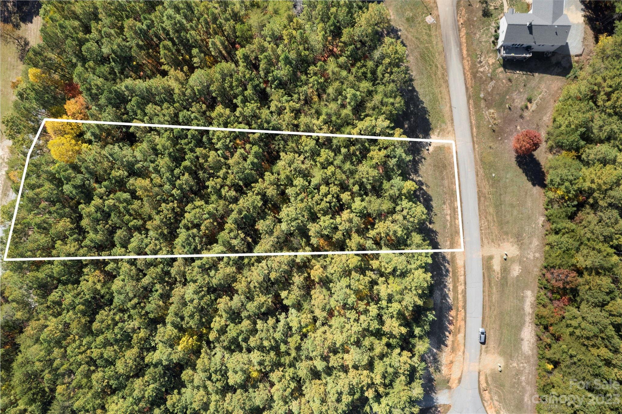 0 Palisade Drive, Unit 26 Rutherfordton, NC 28139 - Photo 2 of 8 a view of a bird